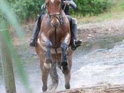 IMG_8333_web